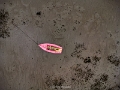 drone2024 (5)